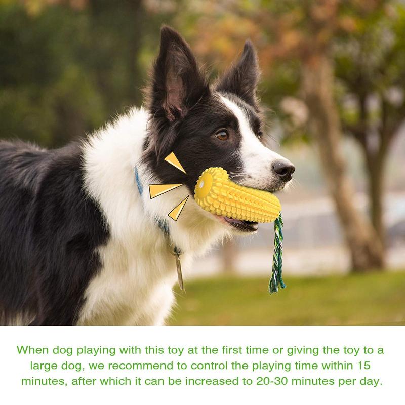 Everlo™ Corn Interactive Chew