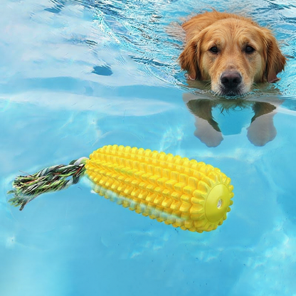 Everlo™ Corn Interactive Chew